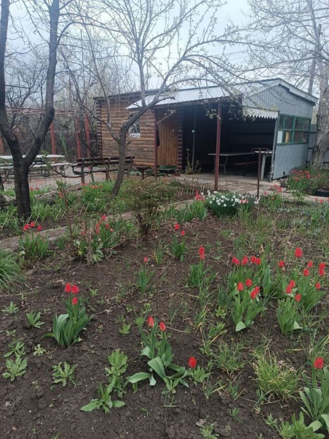 Продается Дача, СНТ Абакумовец , район Кировский, г. Донецк, Донецкая Народная Республика, Россия